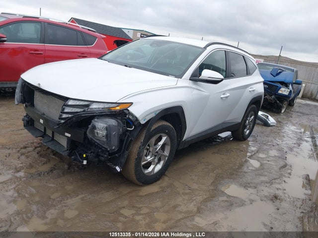 2024 Hyundai Tucson Sel მანქანა იყიდება აუქციონზე, vin: KM8JBCDE6RU332192, აუქციონის ნომერი: 12513335