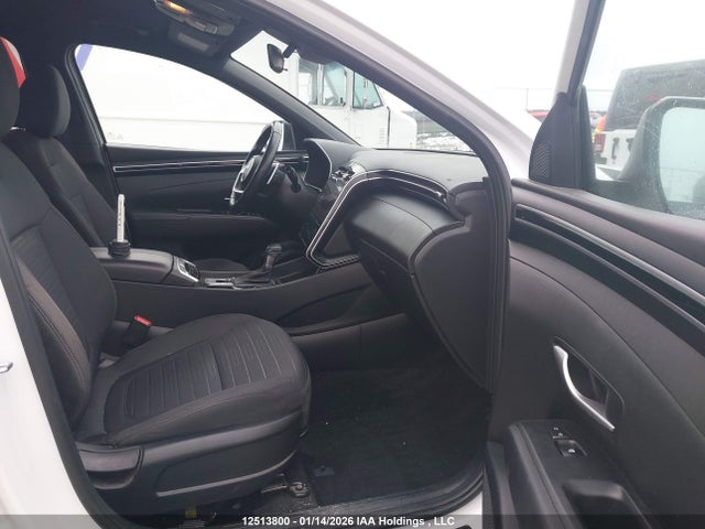 12513800 :رقم المزاد ، 5NTJCDDF4RH102419 vin ، 2024 Hyundai Santa Cruz Night مزاد بيع