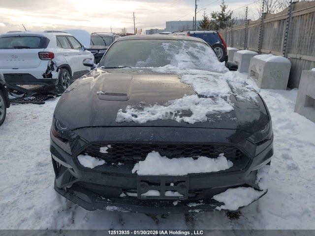 Aukcja sprzedaży 2019 Ford Mustang, vin: 1FA6P8TH5K5160201, numer aukcji: 12513935