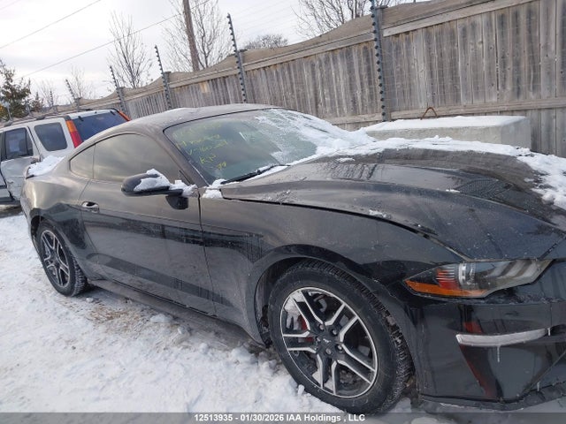 Aukcja sprzedaży 2019 Ford Mustang, vin: 1FA6P8TH5K5160201, numer aukcji: 12513935