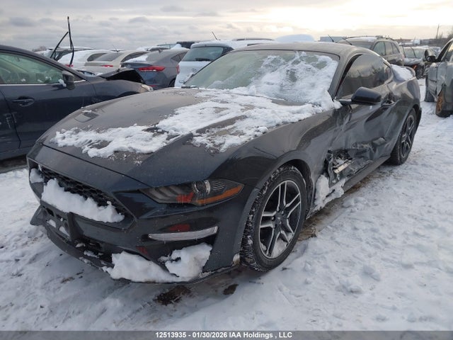 Aukcja sprzedaży 2019 Ford Mustang, vin: 1FA6P8TH5K5160201, numer aukcji: 12513935