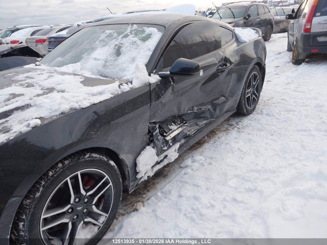 Aukcja sprzedaży 2019 Ford Mustang, vin: 1FA6P8TH5K5160201, numer aukcji: 12513935