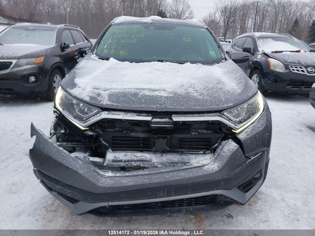 2HKRW2H87LH203602 Honda Cr-v Ex-l