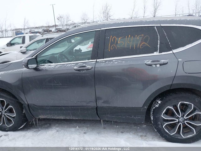 2HKRW2H87LH203602 Honda Cr-v Ex-l