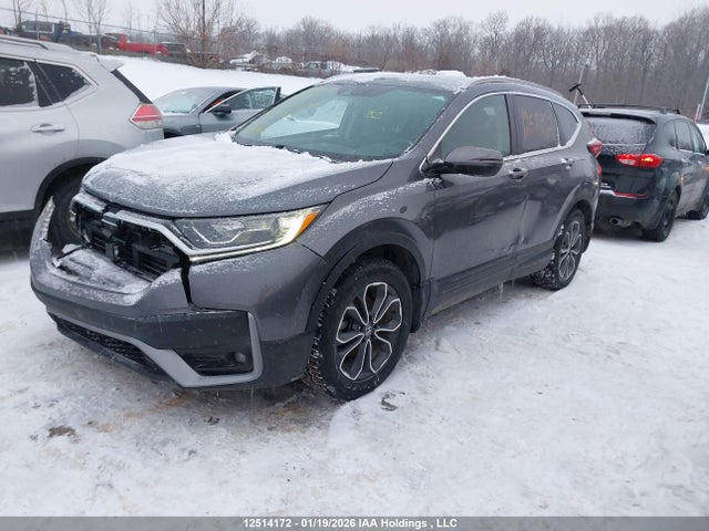 2HKRW2H87LH203602 Honda Cr-v Ex-l