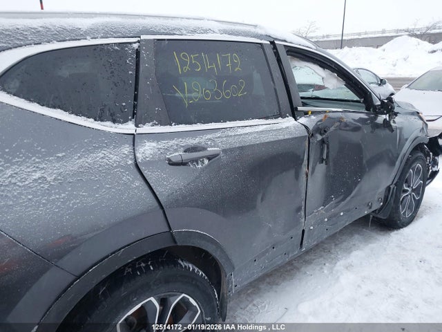 2HKRW2H87LH203602 Honda Cr-v Ex-l