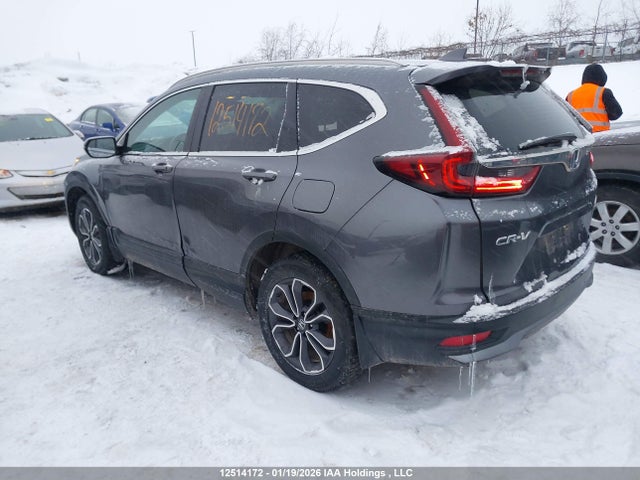 2HKRW2H87LH203602 Honda Cr-v Ex-l