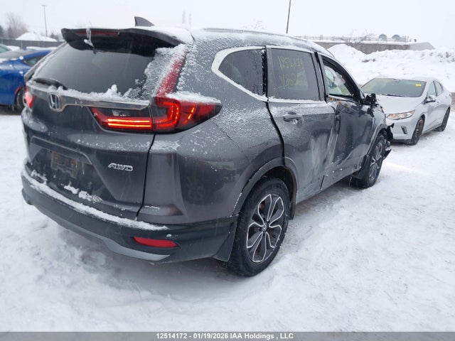 2HKRW2H87LH203602 Honda Cr-v Ex-l