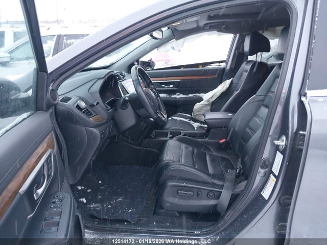 2HKRW2H87LH203602 Honda Cr-v Ex-l