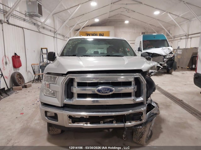 2016 Ford F-150 Xlt მანქანა იყიდება აუქციონზე, vin: 1FTEX1C84GFA33986, აუქციონის ნომერი: 12514186
