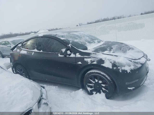 Aukcja sprzedaży 2022 Tesla Model Y, vin: 7SAYGDEEXNF421696, numer aukcji: 12514213