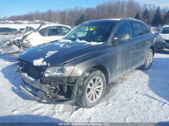 WA1L2AFPXGA128584 Audi Q5 Premium Plus