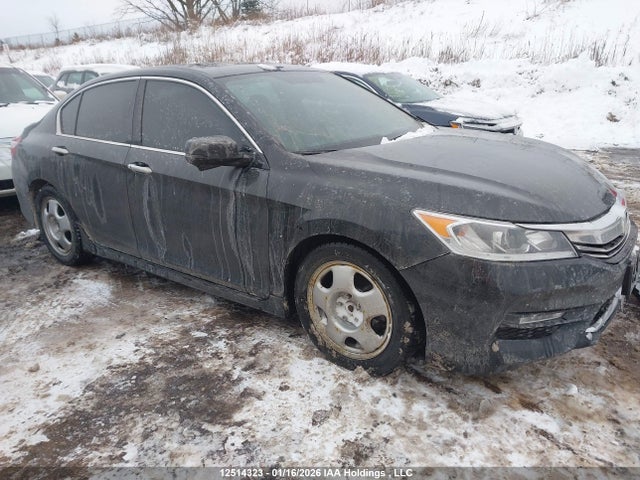 1HGCR2F55GA807704 Honda Accord Sport