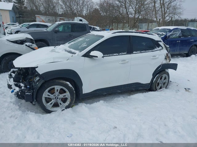 KM8K6CAB6PU047086 Hyundai Kona Sel