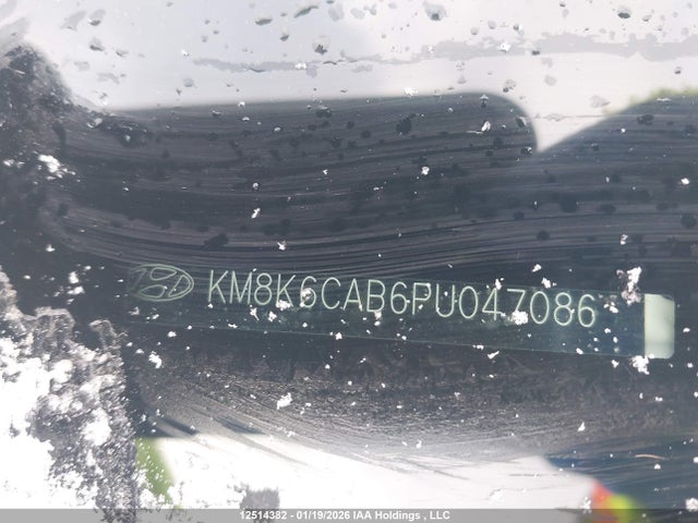 KM8K6CAB6PU047086 Hyundai Kona Sel