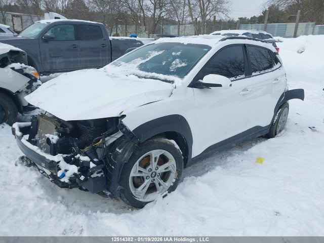 KM8K6CAB6PU047086 Hyundai Kona Sel