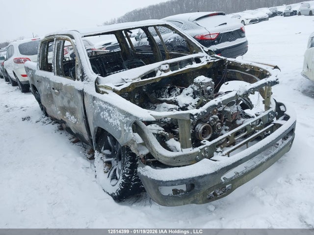 2024 Dodge Ram 1500 მანქანა იყიდება აუქციონზე, vin: 1C6SRFVT3RN190145, აუქციონის ნომერი: 12514399