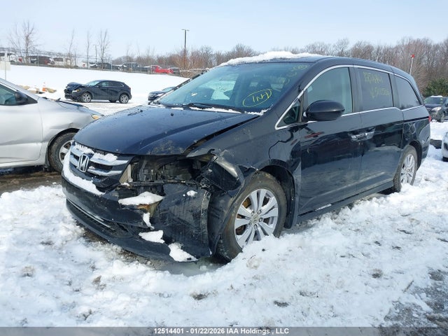 5FNRL5H60HB500502 Honda ODYSSEY EXL