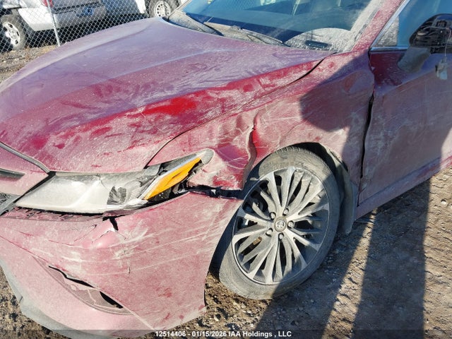 4T1B11HK7JU616799 Toyota Camry L/le/xle/se/xse