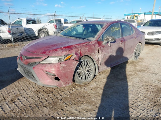 4T1B11HK7JU616799 Toyota Camry L/le/xle/se/xse