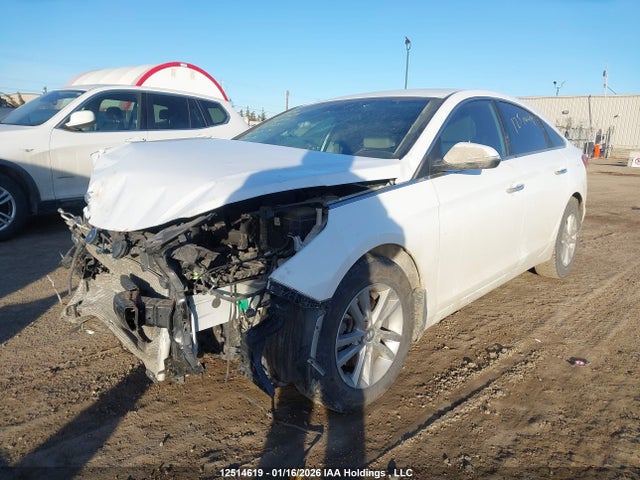 5NPE24AF8FH209251 Hyundai SONATA GLS