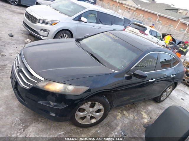 2010 Honda Accord Crosstour Ex-l მანქანა იყიდება აუქციონზე, vin: 5J6TF1H59AL800064, აუქციონის ნომერი: 12514707