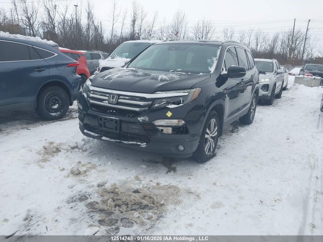 5FNYF6H55GB504303 Honda PILOT EXL