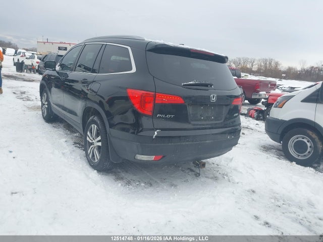 5FNYF6H55GB504303 Honda PILOT EXL