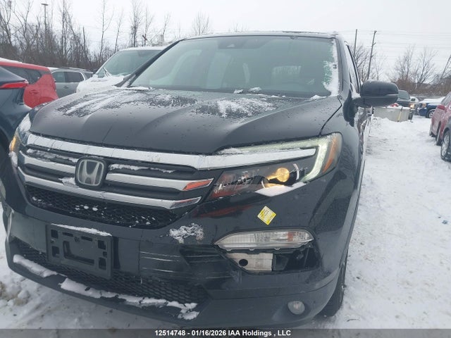 5FNYF6H55GB504303 Honda PILOT EXL