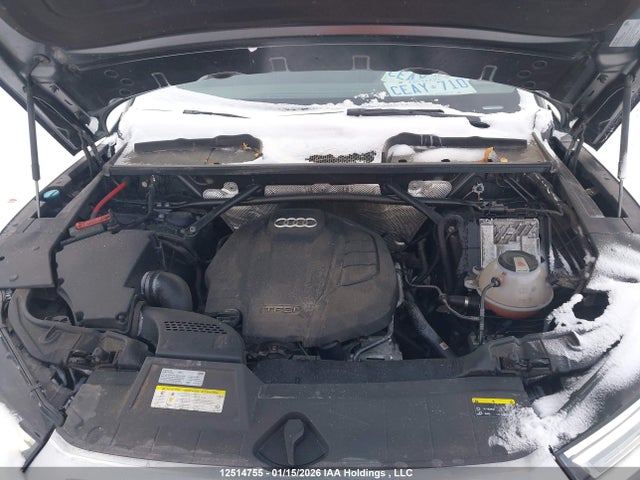 WA1ENAFY5J2187441 Audi Q5 Progressiv S-line