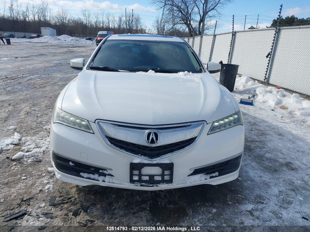 19UUB1F50GA800632 Acura TLX TECH