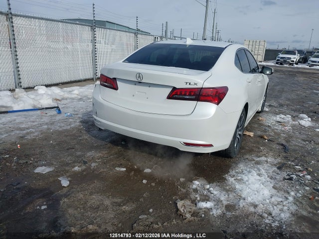 19UUB1F50GA800632 Acura TLX TECH