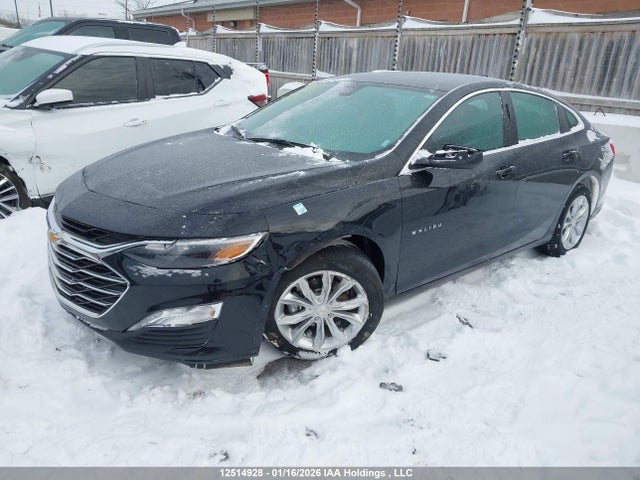1G1ZD5ST4RF161762 Chevrolet MALIBU LT