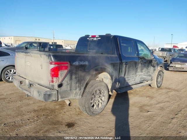 12515212 :رقم المزاد ، 1FTFW3L52RKD20214 vin ، 2024 Ford F-150 Xlt مزاد بيع