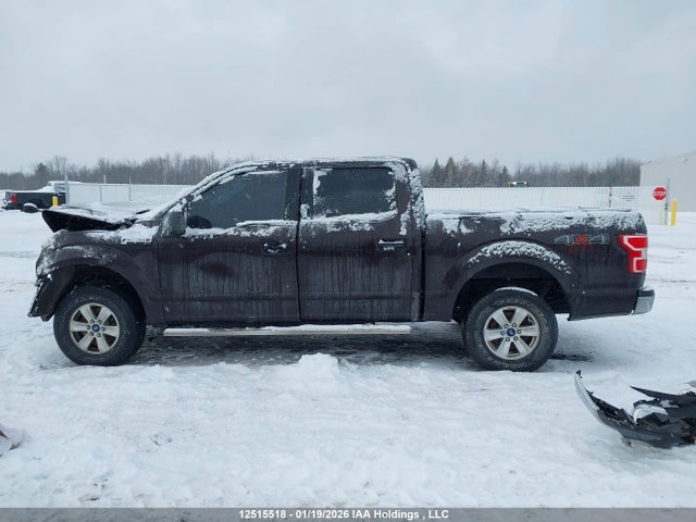 12515518 :رقم المزاد ، 1FTEW1EP6JFD20339 vin ، 2018 Ford F150 Supercrew مزاد بيع