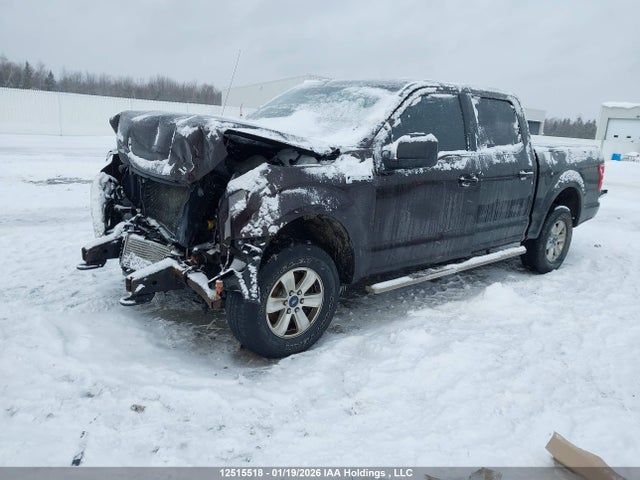 12515518 :رقم المزاد ، 1FTEW1EP6JFD20339 vin ، 2018 Ford F150 Supercrew مزاد بيع