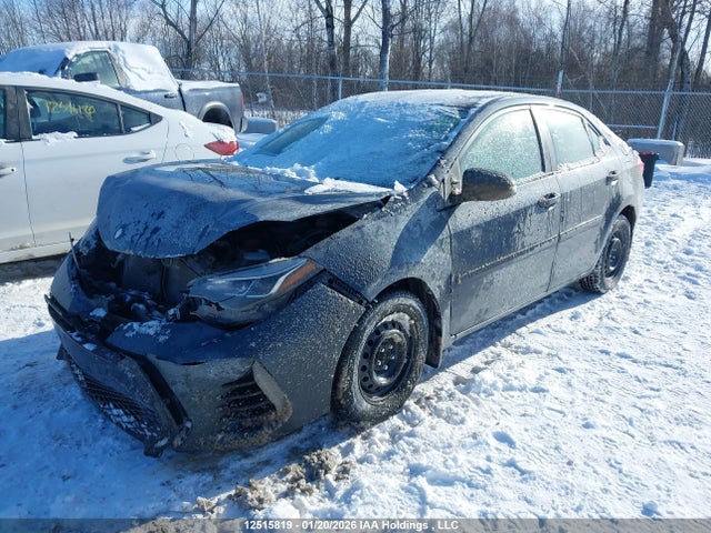 2T1BURHE5JC119025 Toyota Corolla L/le/xle/se/xse