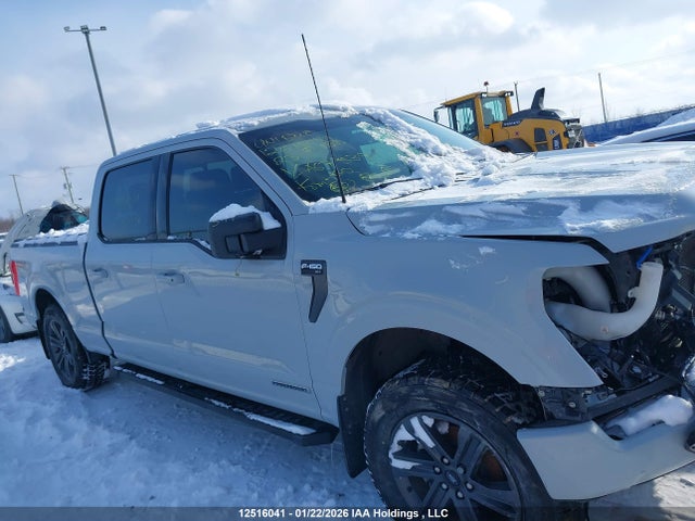 Aukcja sprzedaży 2023 Ford F-150 Xlt, vin: 1FTFW1ED4PFA67539, numer aukcji: 12516041