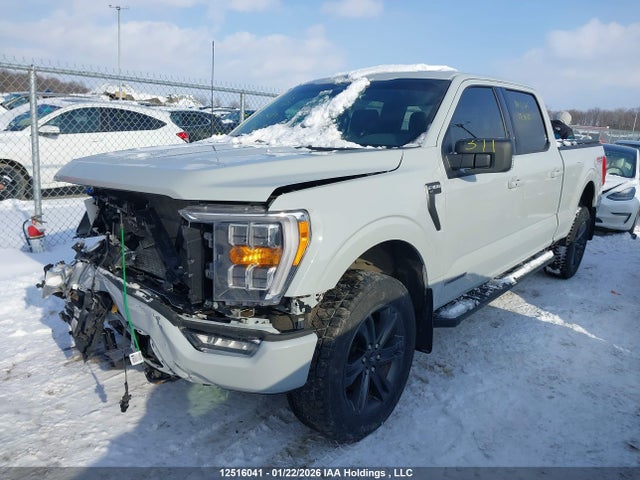 Aukcja sprzedaży 2023 Ford F-150 Xlt, vin: 1FTFW1ED4PFA67539, numer aukcji: 12516041