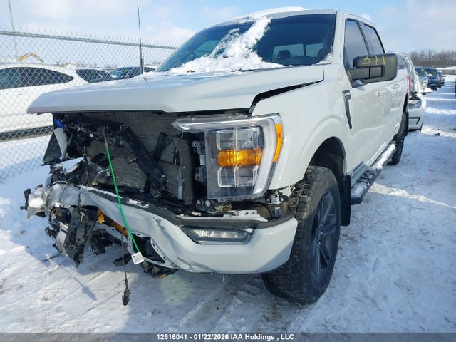 Aukcja sprzedaży 2023 Ford F-150 Xlt, vin: 1FTFW1ED4PFA67539, numer aukcji: 12516041