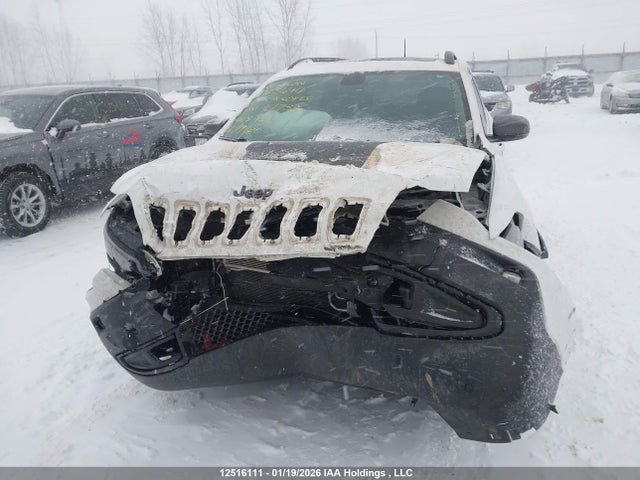 Продаж на аукціоні авто 2021 Jeep Cherokee Trailhawk, vin: 1C4PJMBX6MD161738, номер лоту: 12516111