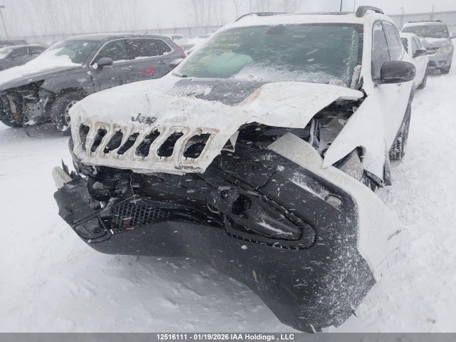 Продаж на аукціоні авто 2021 Jeep Cherokee Trailhawk, vin: 1C4PJMBX6MD161738, номер лоту: 12516111