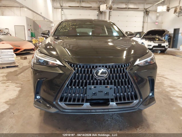 2023 Lexus Nx 350 მანქანა იყიდება აუქციონზე, vin: 2T2GGCEZ8PC020768, აუქციონის ნომერი: 12516197