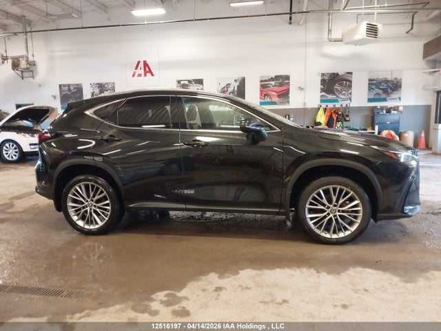 2023 Lexus Nx 350 მანქანა იყიდება აუქციონზე, vin: 2T2GGCEZ8PC020768, აუქციონის ნომერი: 12516197
