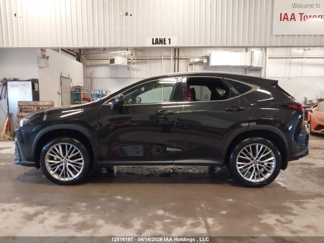 2023 Lexus Nx 350 მანქანა იყიდება აუქციონზე, vin: 2T2GGCEZ8PC020768, აუქციონის ნომერი: 12516197