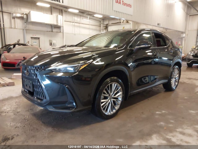 2023 Lexus Nx 350 მანქანა იყიდება აუქციონზე, vin: 2T2GGCEZ8PC020768, აუქციონის ნომერი: 12516197