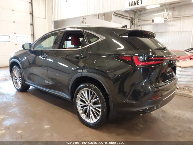 2023 Lexus Nx 350 მანქანა იყიდება აუქციონზე, vin: 2T2GGCEZ8PC020768, აუქციონის ნომერი: 12516197