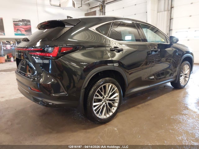 2023 Lexus Nx 350 მანქანა იყიდება აუქციონზე, vin: 2T2GGCEZ8PC020768, აუქციონის ნომერი: 12516197