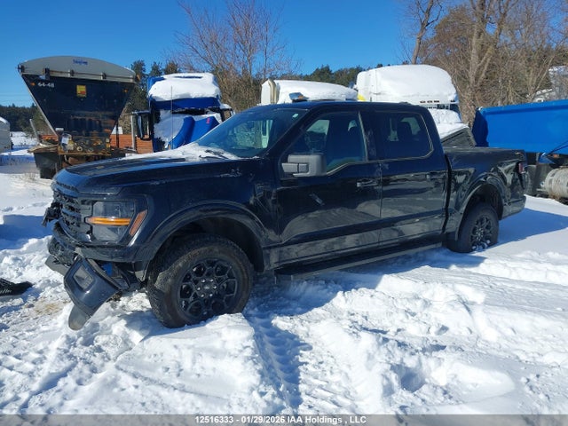 Продажа на аукционе авто 2025 Ford F-150 Xlt, vin: 1FTEW3LP5SFA07766, номер лота: 12516333
