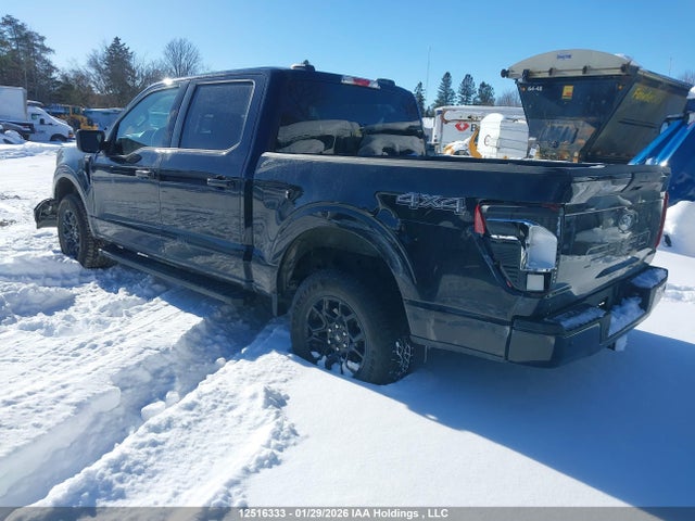 Продажа на аукционе авто 2025 Ford F-150 Xlt, vin: 1FTEW3LP5SFA07766, номер лота: 12516333